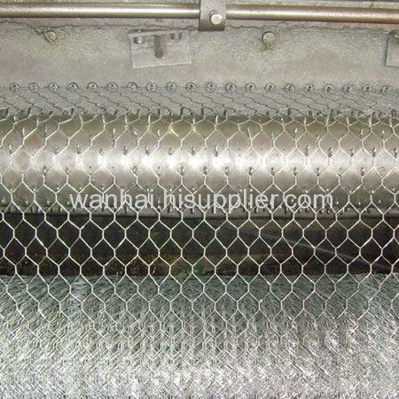 hexagonal wire netting for steel framing