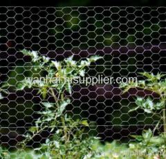 hexagonal wire net rabbit netting