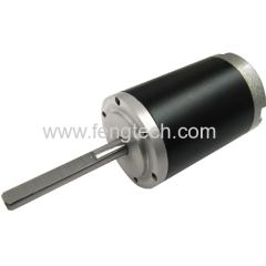 Brushless Motor