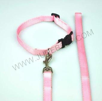 PET recyclable pet collar