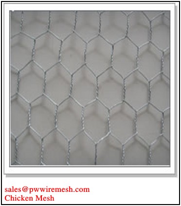 hexagonal wire metting for poltry