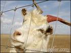 galvanized grassland fence