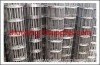 Welded Wire Mesh