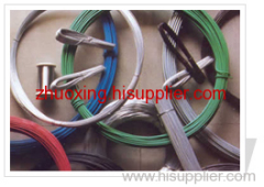 Plastic Coated Wire