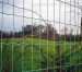 Euro Welded Fence mesh