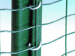 Euro Welded Fence mesh