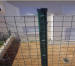 Euro Welded Fence mesh