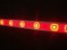 LED Rigid Bar5050