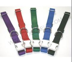 Nylon Dog Collar with Metal Buckle