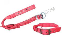 Dog Training Collar