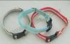 PET Dog Collar-Recycle Material