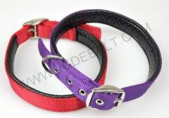 Comfort Pad Dog Collar