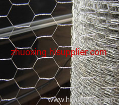 Hexagonal Wire Netting