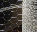 green PVC coated Hexagonal Wire Netting