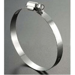 stainless steel Worm Drive Hose Clamp