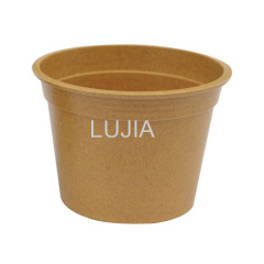 Biodegradable Plant Fiber Flower Pot