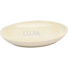 Biodegradable recycled dinner plate