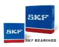 Zhenzhou Rirui SKF Bearing Trading Co., Ltd.