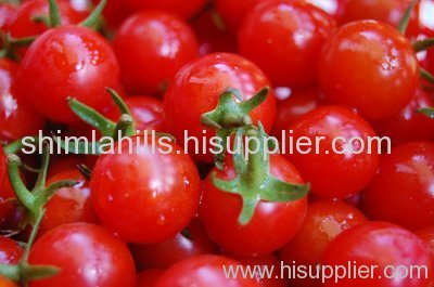 Cherry Tomatoes