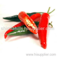 Fresh Chillies