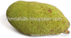 Fresh Jack Fruit