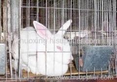 Rabbit Cage