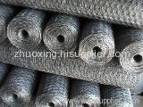 China Galvanized Hexagonal Wire Netting