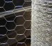 China Galvanized Hexagonal Wire Netting
