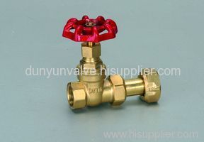 brass gate valve with union before water meter