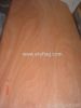 Rotary cut Okoume veneer