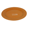 Biodegradable Plant Fiber Dinner Plate