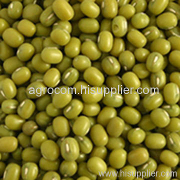 mung beans