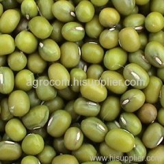 mung beans