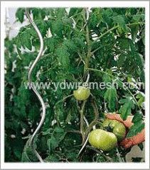 Tomato Spiral Support Wire