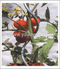 Tomato Spiral Support Wire