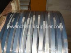 Stainless Steel Strip Skype: jewen_chan