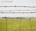 Y Type Razor Barbed Wire Fences