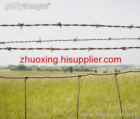 Y Type Razor Barbed Wire Fences