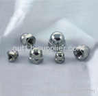 Stainless Steel Hexagon cap nut line