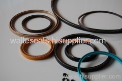 Rotary Seals