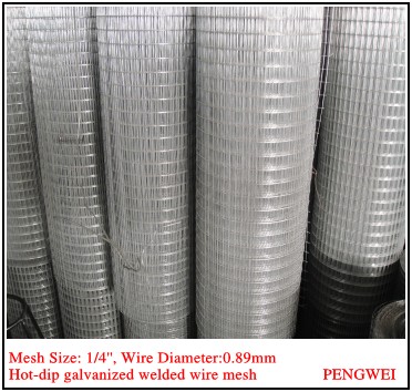 Hot Dipped Welded Wire Mesh Panel