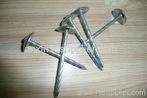 electro galvanized umbrella head roofing nails