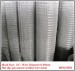 Hot-dip Galvanized Welded Wire Mesh