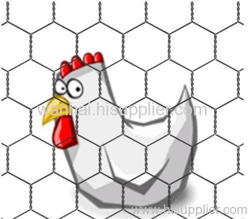 woven hexagonal wire mesh