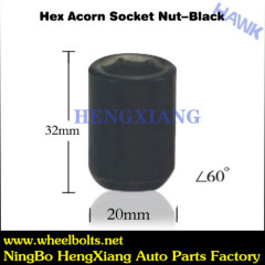 wheel lugs black nuts