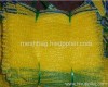 pe raschel onion bag