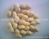 Chinese peanut in shell 2010