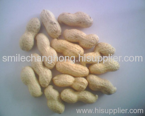 Chinese peanut in shell 2010