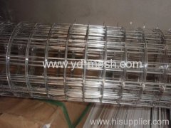 stainless steel welded mesh