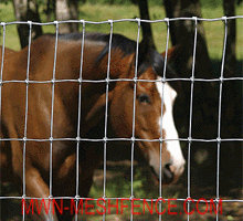 Field mesh fence